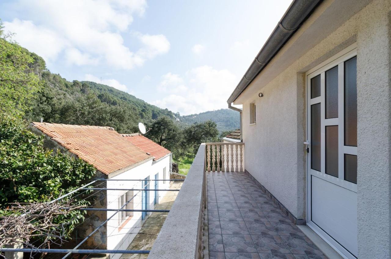 Apartmani Popovic Babino Polje Exteriér fotografie