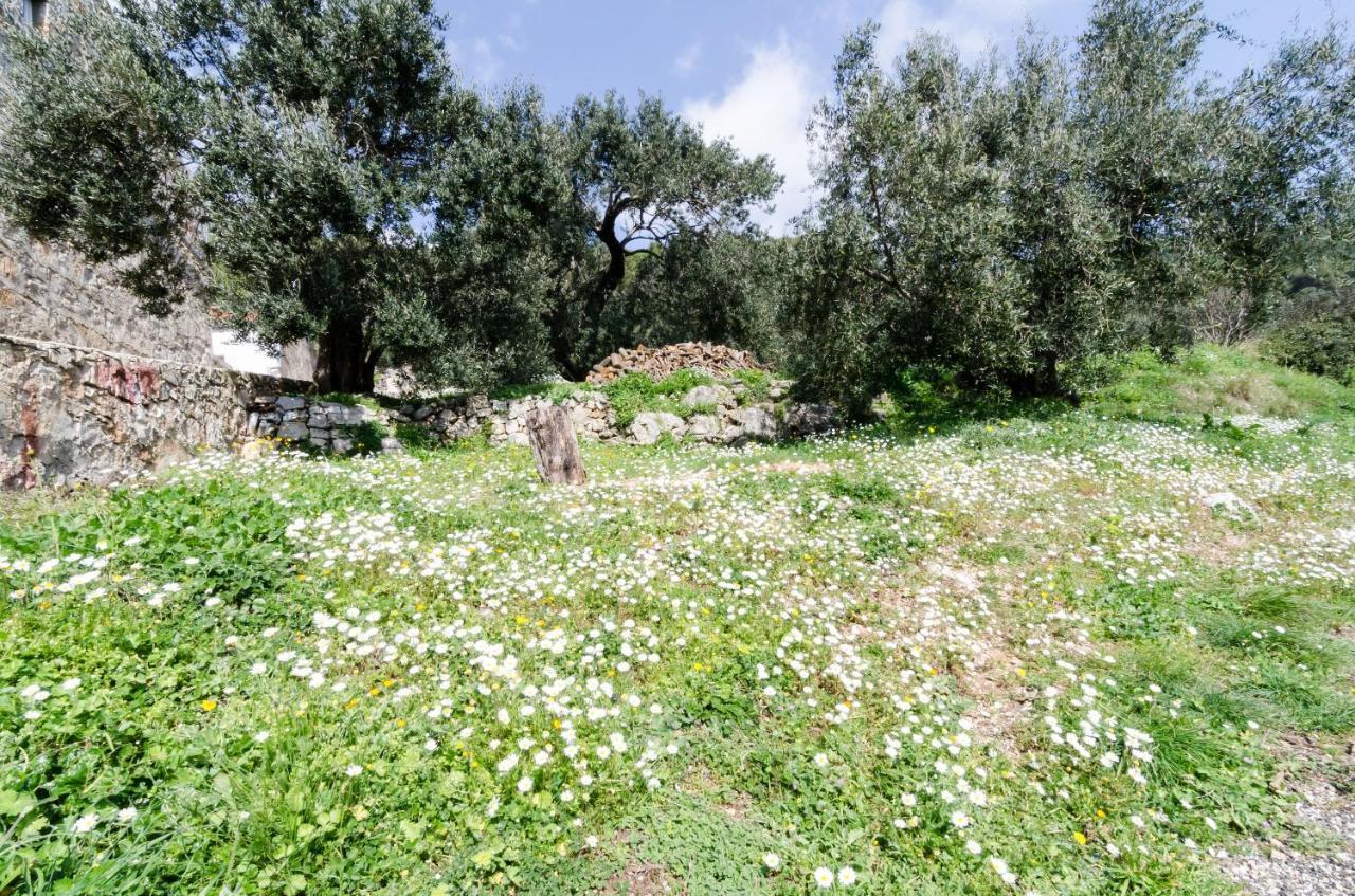 Apartmani Popovic Babino Polje Exteriér fotografie